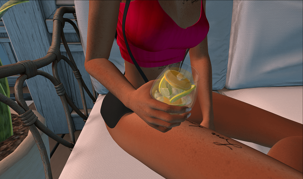 Second Life Food and Drinks Dispensers