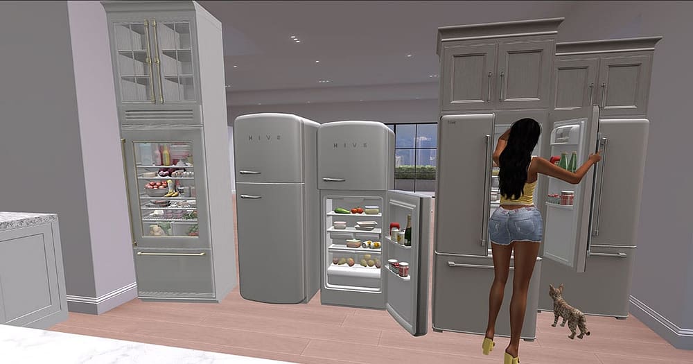 Second Life Kitchen fridge